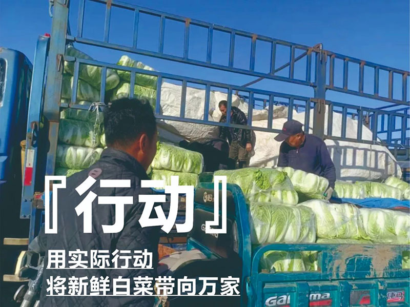 爱心助农，，，，，，，金沙9001cc以诚为本在行动